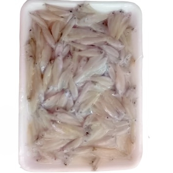 Frozen Keski Fish