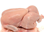 Chicken whole hand slaughtered