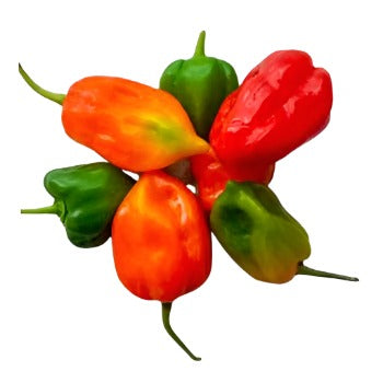 Habanero red 27 sale