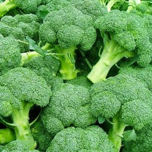 Broccoli $9.50/kg