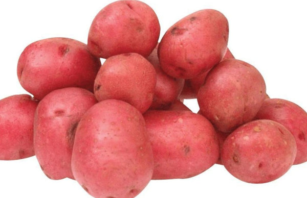 Potato red 5kg bag $10.90/bag