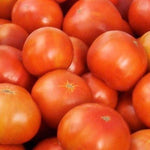 Tomato fresh 7.90/kg